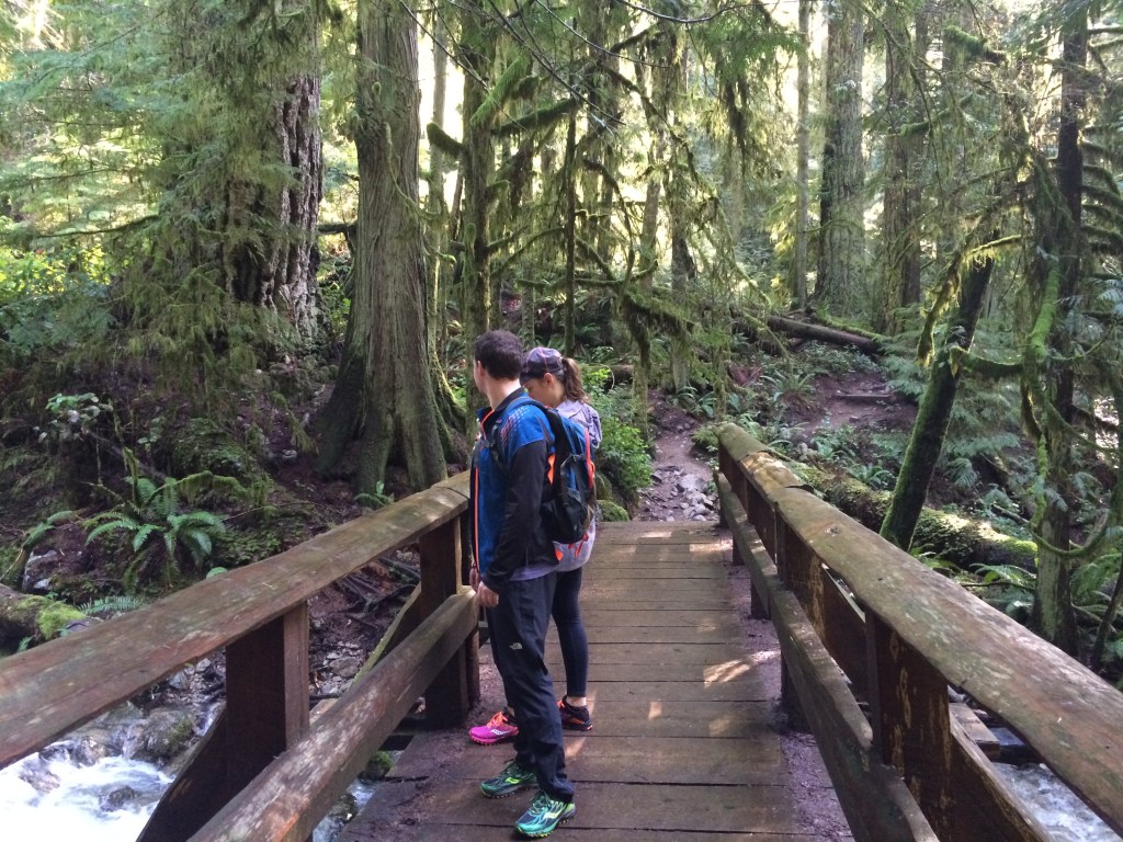 Whyte Lake West Vanβs Wondrous Whyte Lake β West Coast Weekly